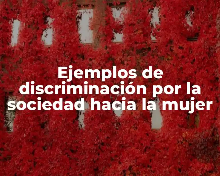 Ejemplos de discriminación por la sociedad hacia la mujer