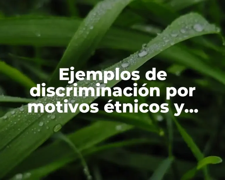 Ejemplos de discriminación por motivos étnicos y culturales