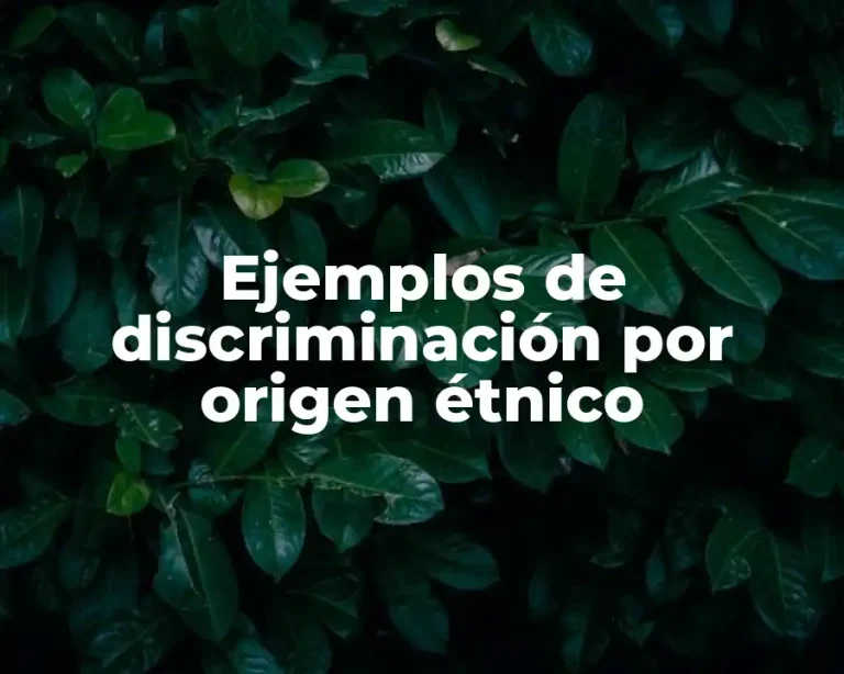 Ejemplos de discriminación por origen étnico