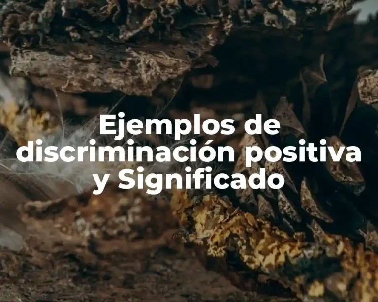 Ejemplos de discriminación positiva y Significado