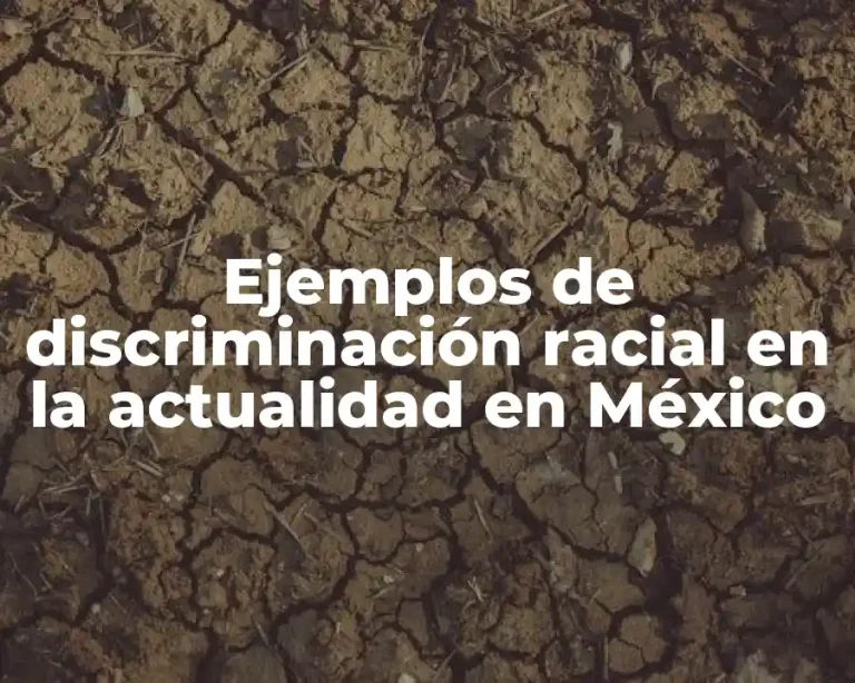 Ejemplos de discriminación racial en la actualidad en México