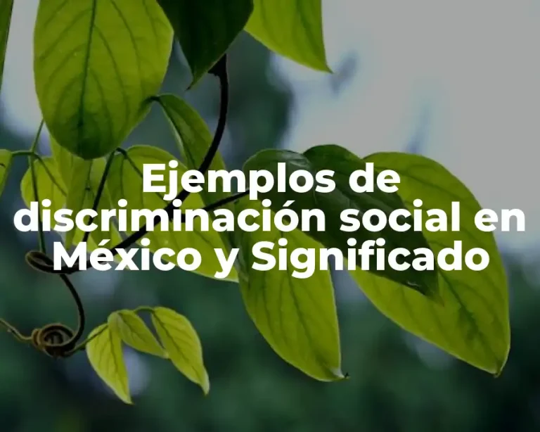 Ejemplos de discriminación social en México y Significado