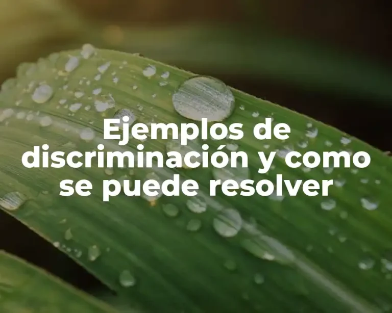 Ejemplos de discriminación y como se puede resolver