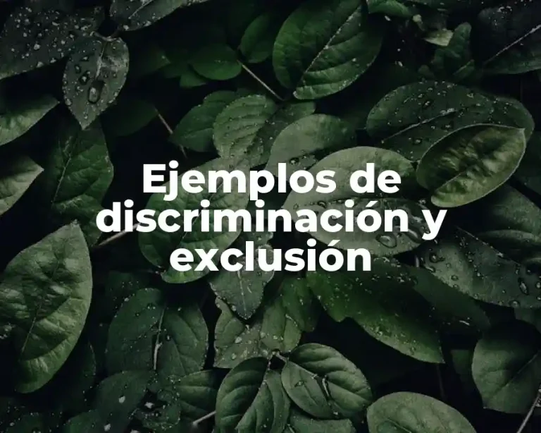 Ejemplos de discriminación y exclusión