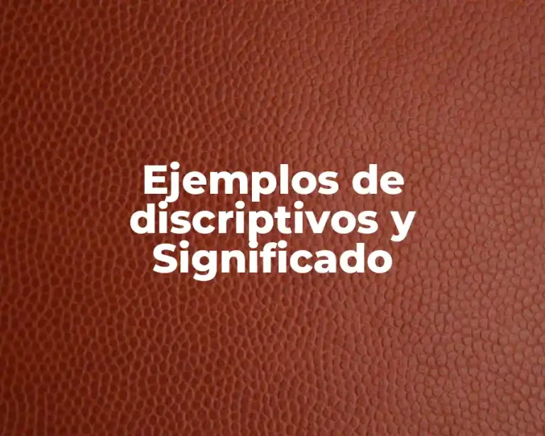 Ejemplos de discriptivos y Significado