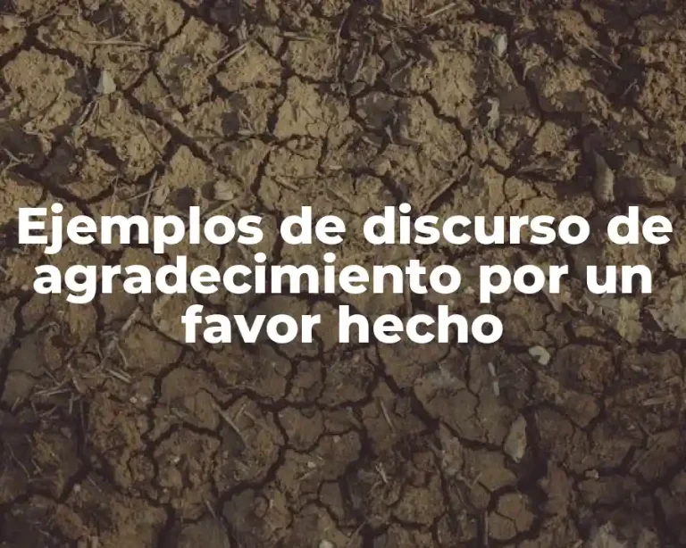 Ejemplos de discurso de agradecimiento por un favor hecho