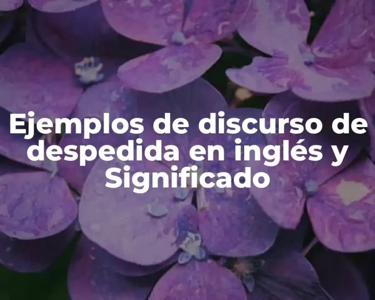 Ejemplos de discurso de despedida en inglés y Significado