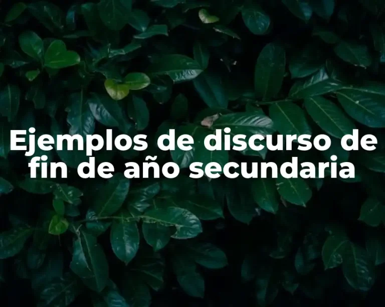 Ejemplos de discurso de fin de año secundaria