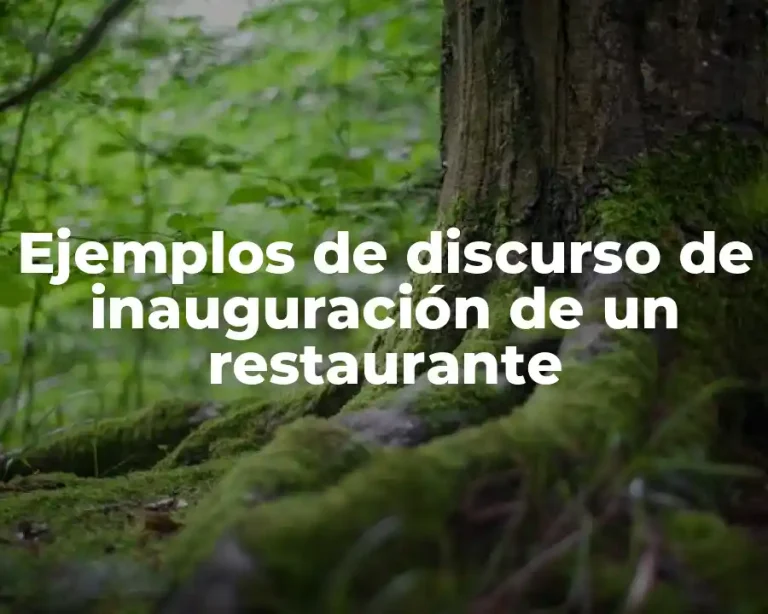 Ejemplos de discurso de inauguración de un restaurante