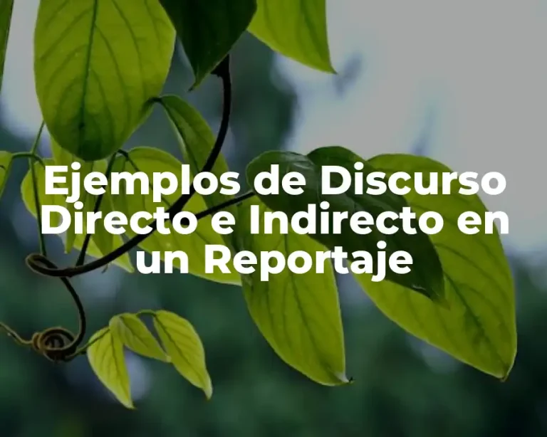 Ejemplos de Discurso Directo e Indirecto en un Reportaje