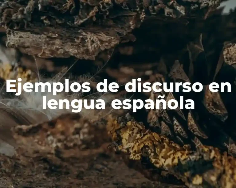 Ejemplos de discurso en lengua española