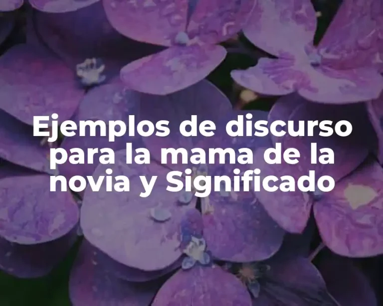 Ejemplos de discurso para la mama de la novia y Significado