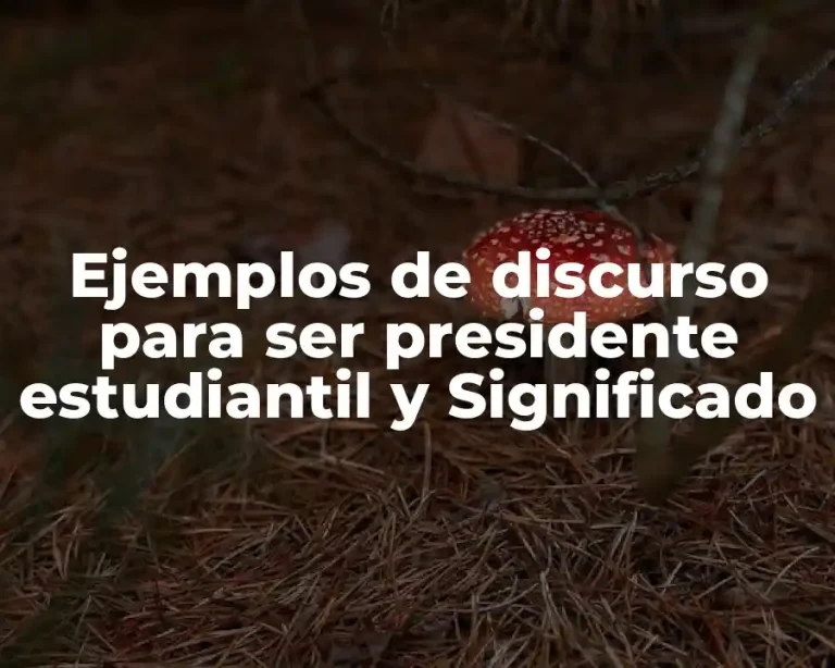Ejemplos de discurso para ser presidente estudiantil y Significado