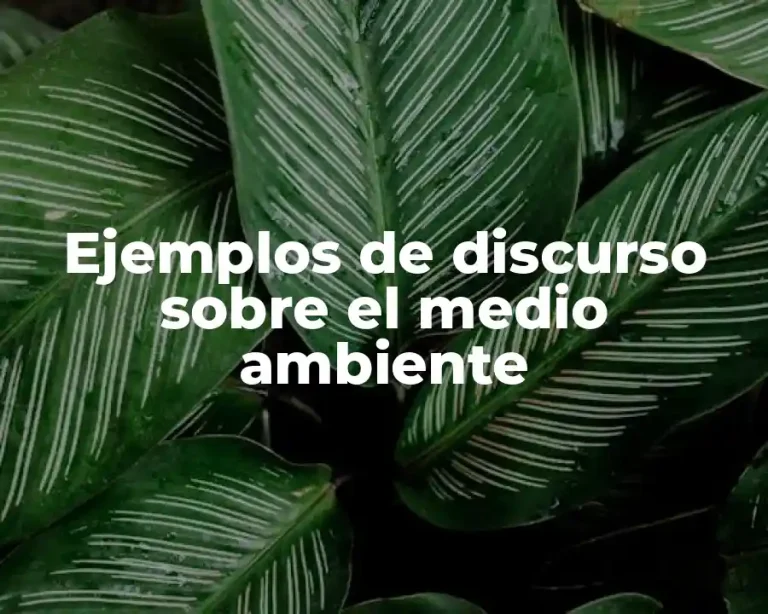 Ejemplos de discurso sobre el medio ambiente