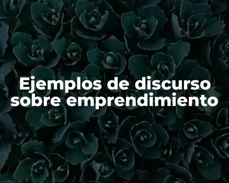 Ejemplos de discurso sobre emprendimiento