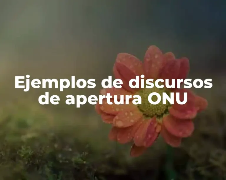Ejemplos de discursos de apertura ONU