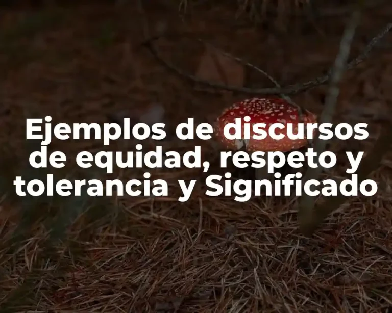 Ejemplos de discursos de equidad, respeto y tolerancia y Significado