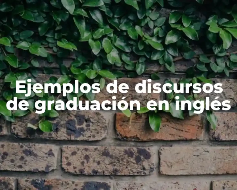 Ejemplos de discursos de graduación en inglés