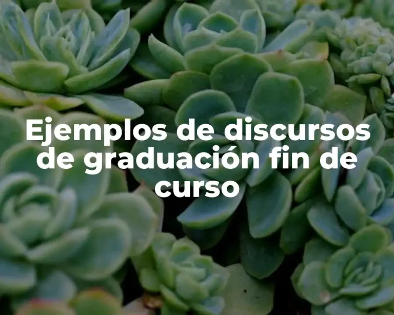 Ejemplos de discursos de graduación fin de curso