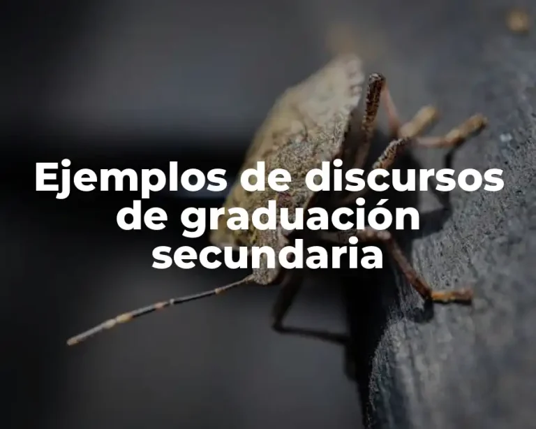 Ejemplos de discursos de graduación secundaria