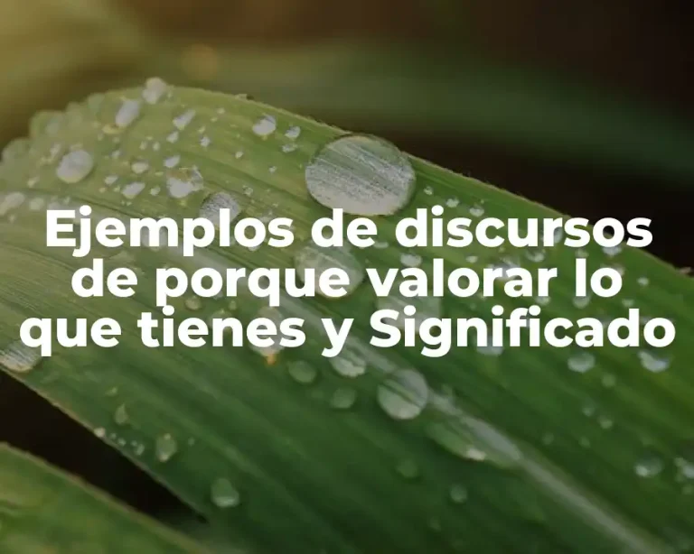 Ejemplos de discursos de porque valorar lo que tienes y Significado