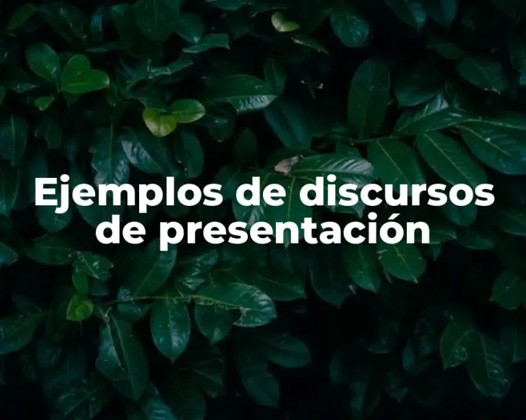 Ejemplos de discursos de presentación