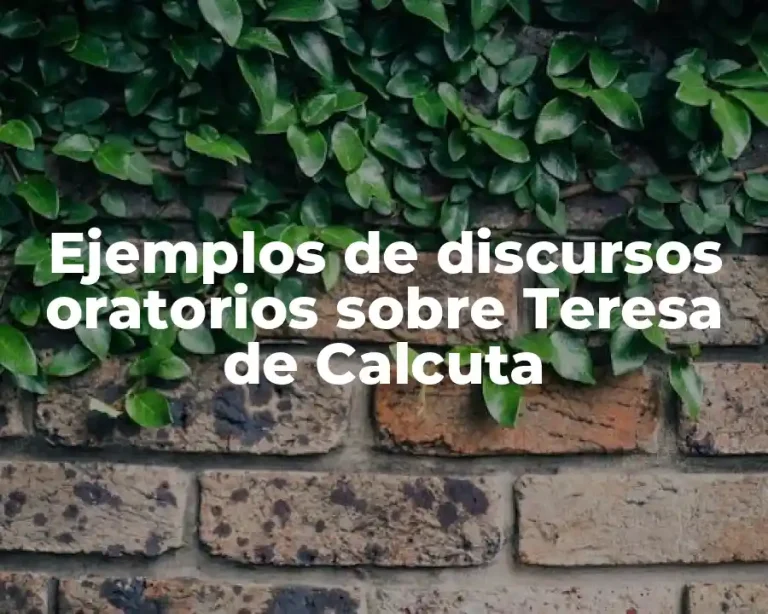 Ejemplos de discursos oratorios sobre Teresa de Calcuta