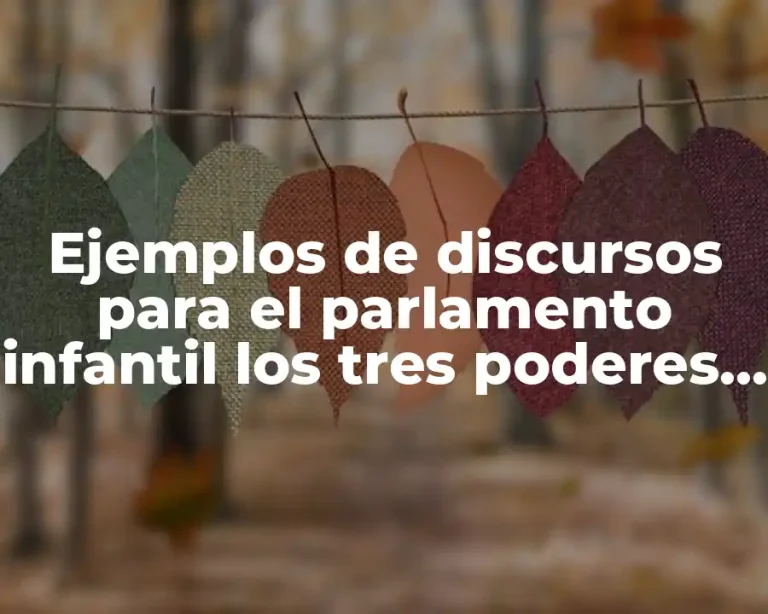Ejemplos de discursos para el parlamento infantil los tres poderes y Significado