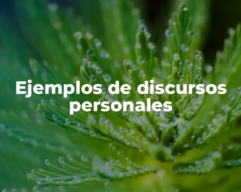 Ejemplos de discursos personales