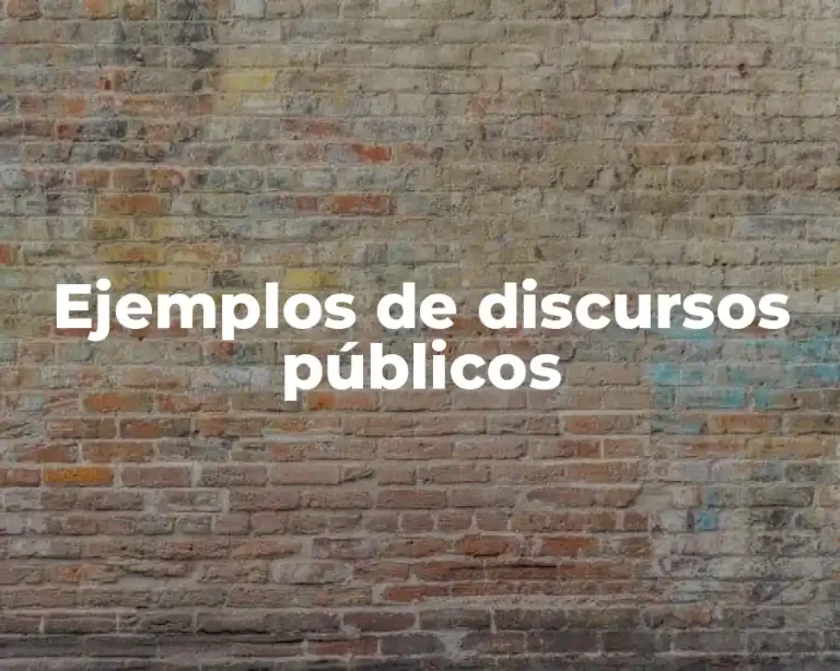 Ejemplos de discursos públicos