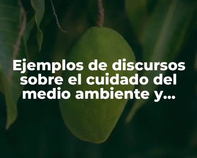 Ejemplos de discursos sobre el cuidado del medio ambiente y Significado