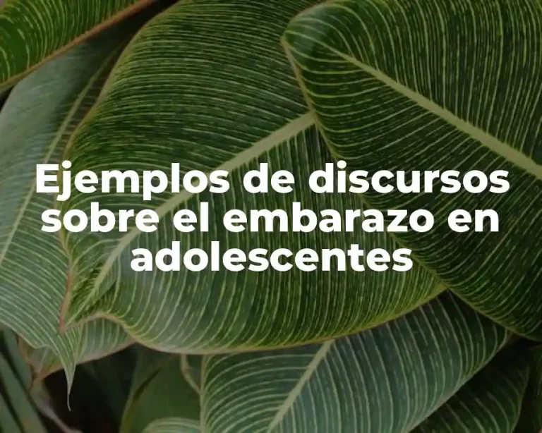 Ejemplos de discursos sobre el embarazo en adolescentes
