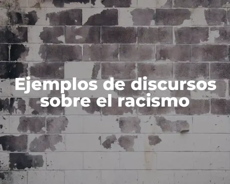 Ejemplos de discursos sobre el racismo