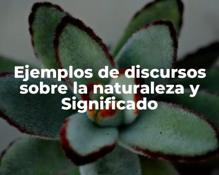 Ejemplos de discursos sobre la naturaleza y Significado