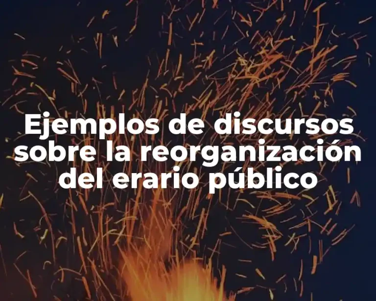 Ejemplos de discursos sobre la reorganización del erario público