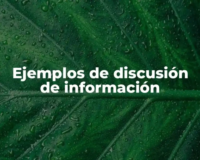 Ejemplos de discusión de información