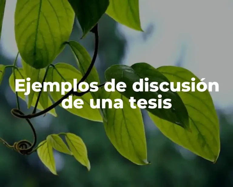 Ejemplos de discusión de una tesis