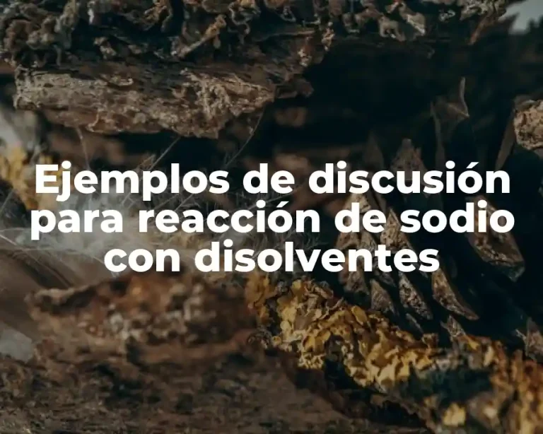 Ejemplos de discusión para reacción de sodio con disolventes