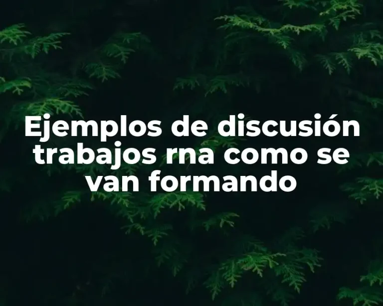 Ejemplos de discusión trabajos rna como se van formando