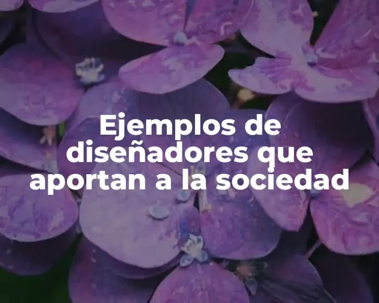 Ejemplos de diseñadores que aportan a la sociedad