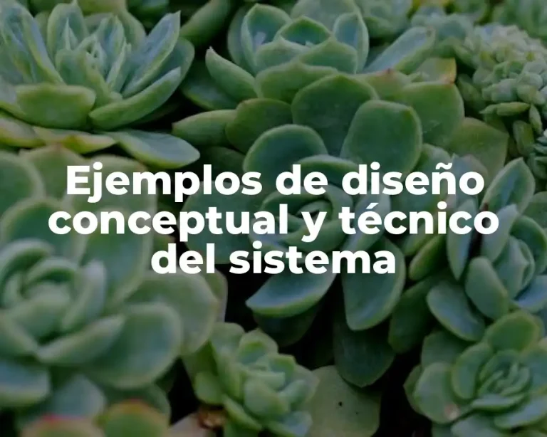 Ejemplos de diseño conceptual y técnico del sistema
