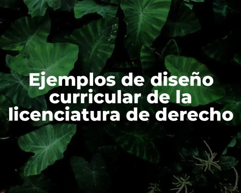 Ejemplos de diseño curricular de la licenciatura de derecho