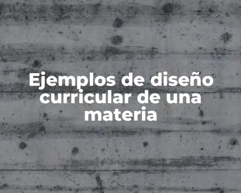 Ejemplos de diseño curricular de una materia