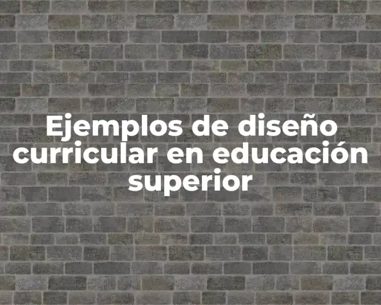 Ejemplos de diseño curricular en educación superior