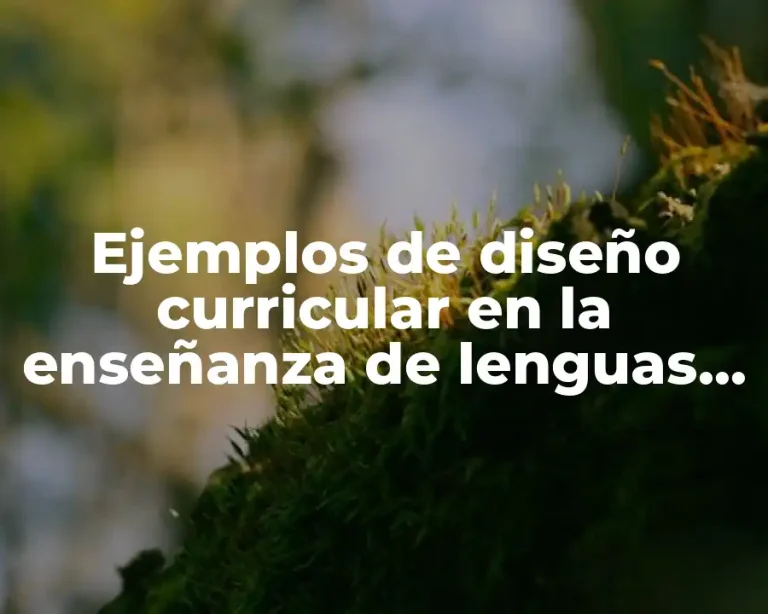 Ejemplos de diseño curricular en la enseñanza de lenguas extranjeras