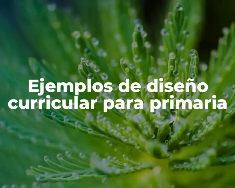 Ejemplos de diseño curricular para primaria