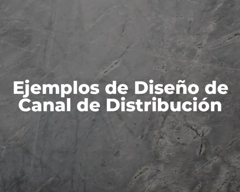 Ejemplos de Diseño de Canal de Distribución