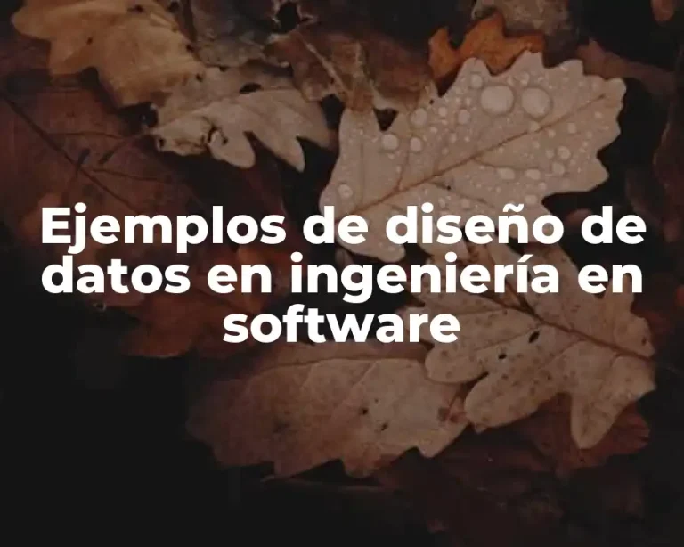 Ejemplos de diseño de datos en ingeniería en software