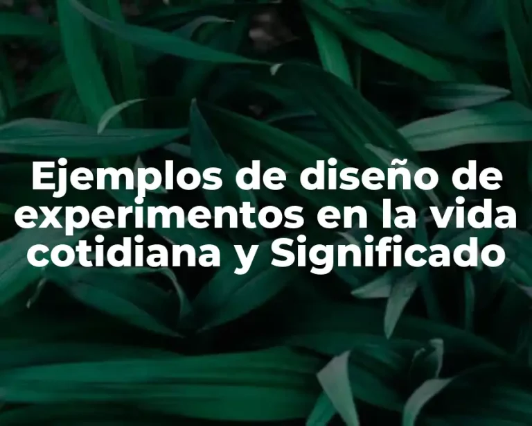 Ejemplos de diseño de experimentos en la vida cotidiana y Significado