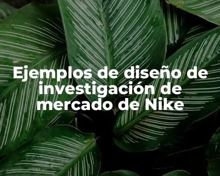 Ejemplos de diseño de investigación de mercado de Nike